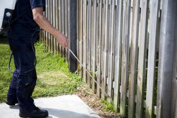 Perimeter Pest Control in Swartswood, New Jersey by Giovanni Elite Services Inc