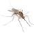 Middleville Mosquitoes & Ticks by Giovanni Elite Services Inc
