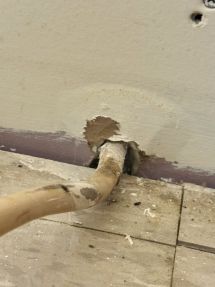 Mice & Rat Control in West Milford, NJ (2)