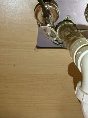 Mice & Rat Control in West Milford, NJ (4)