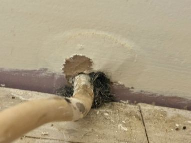 Mice & Rat Control in West Milford, NJ (1)