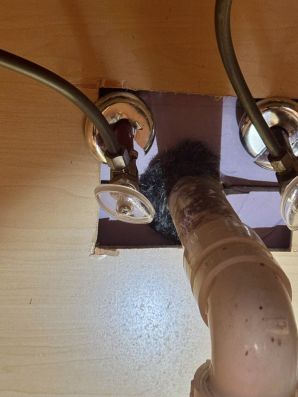 Mice & Rat Control in West Milford, NJ (3)